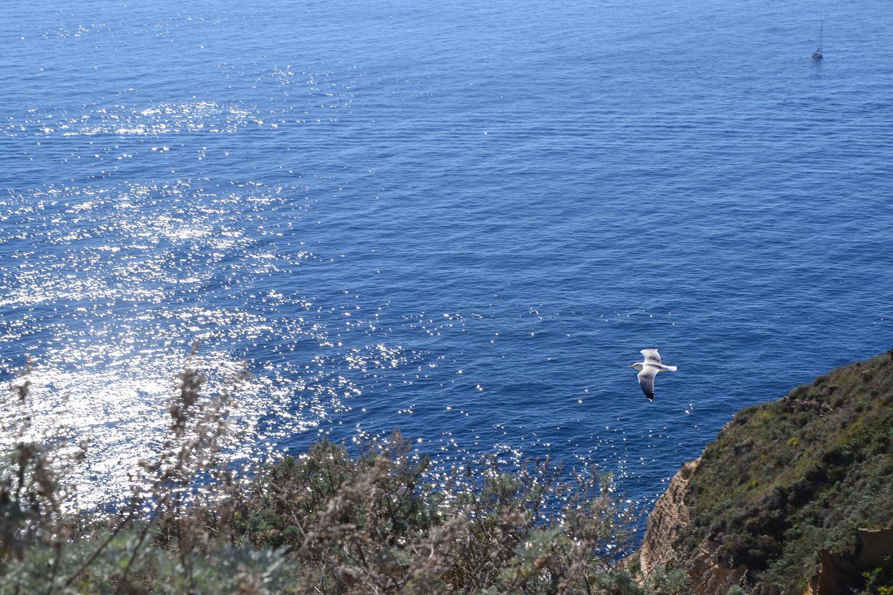 Terra Murata Boutique B&B Procida Esterno foto