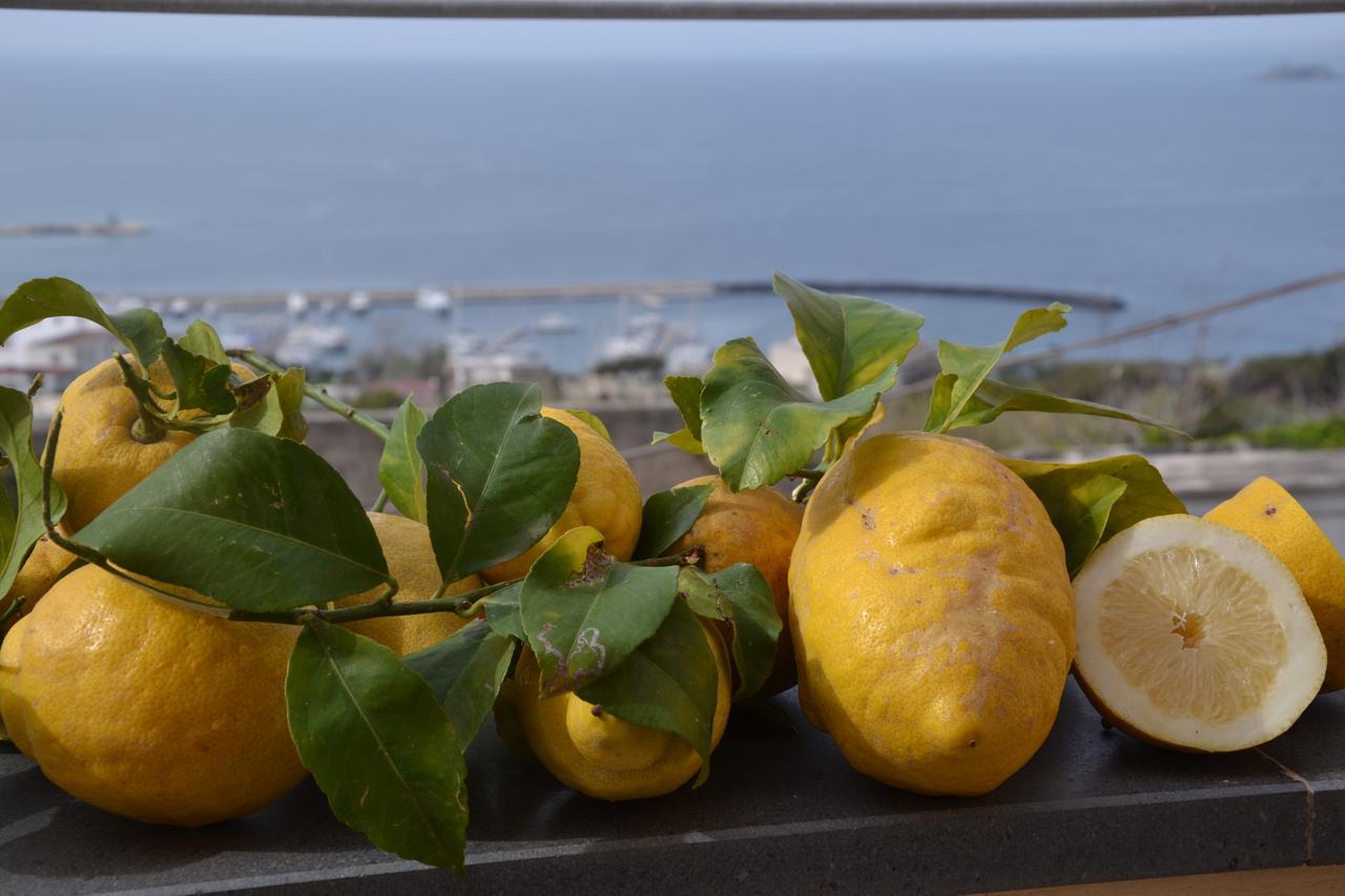 Terra Murata Boutique B&B Procida Esterno foto