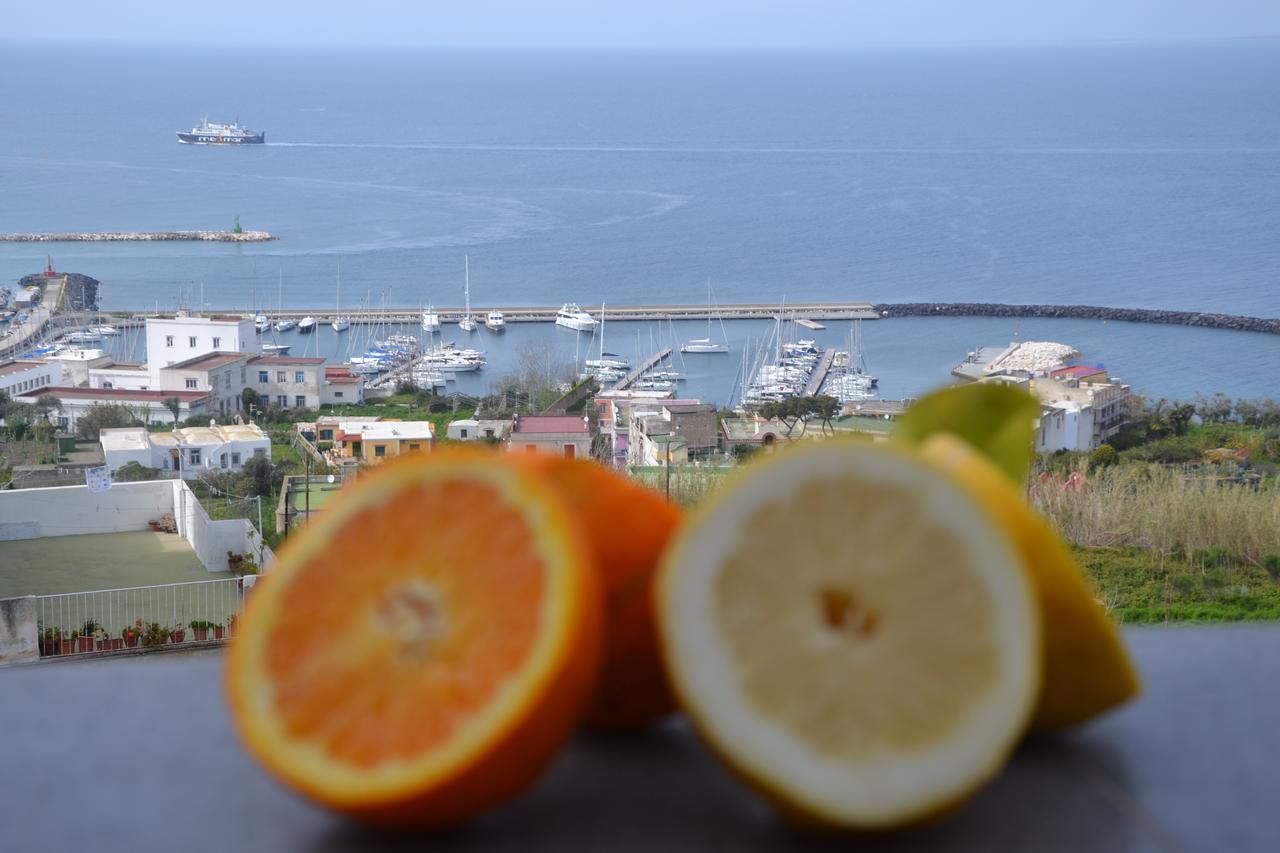 Terra Murata Boutique B&B Procida Esterno foto