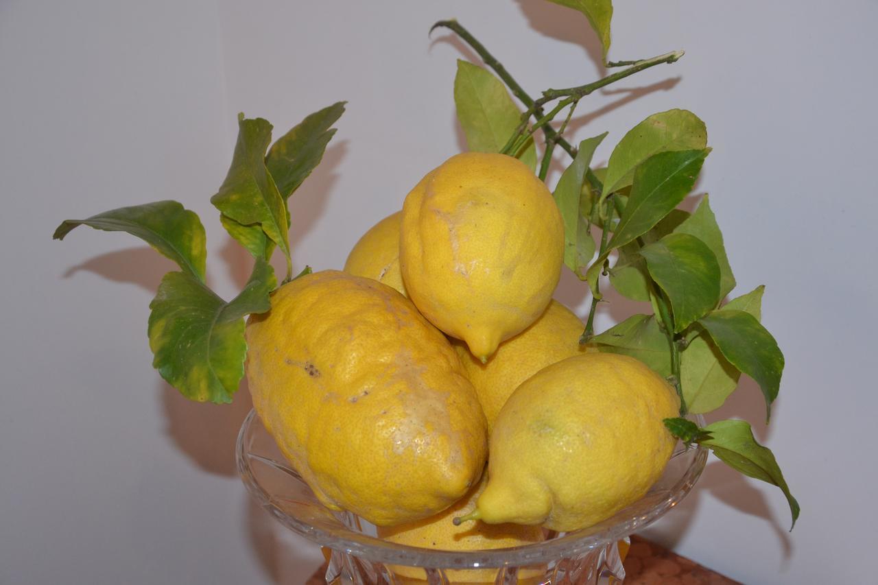 Terra Murata Boutique B&B Procida Esterno foto